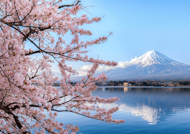 Discover Mount Fuji: Private Car/Van Day Tour From Tokyo - Tour Overview