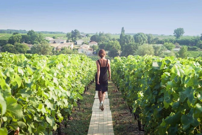 Discover The Cellars In The Heart Of The Countryside In Champagne Exploring Mercier Wine Cellars