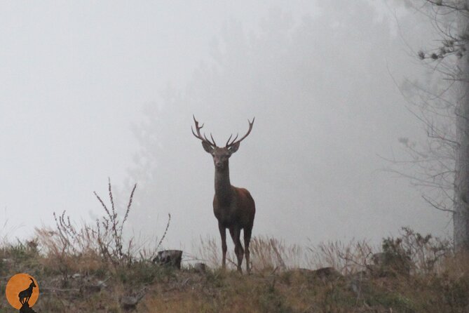 Discovering Nature in Serra Da Lousã - Pickup and Transfer Details