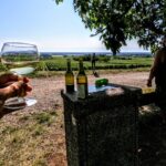 Discovery By Bike & Tasting In The Vineyards Tour Overview