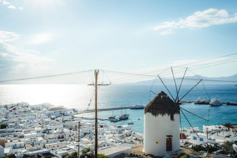 Disposal Service Mykonos: Half Day Private Driver Mini Bus Booking And Confirmation