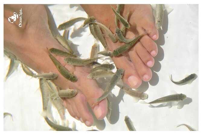 Doctor Fish Ocean Spa - Unique Therapeutic Treatments