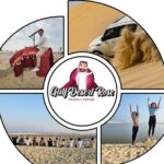 Doha Half Day Desert Safari Dune Bashing Camel Ride Sandboarding Overview Of The Tour