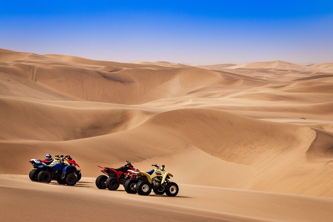 Doha: Quadbike, Dune Bashing, Camel Ride, Inland Sea Visit Included Activities