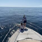 Dolphin Searching Tour In Puerto De Mogán (keeper Uno Boat) Overview Of The Tour