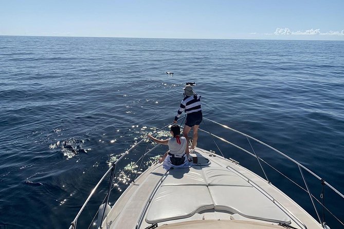 Dolphin Searching Tour in Puerto De Mogán (Keeper UNO Boat) - Overview of the Tour