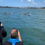 Dolphin Watching In Lisbon Highlights Of The Tour Route