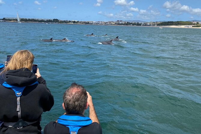 Dolphin Watching in Lisbon - Highlights of the Tour Route