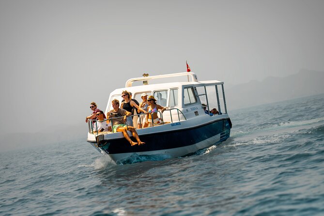 Dolphin Watching in Muscat - Overview of the Activity