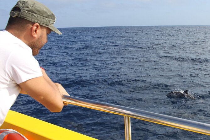 Dolphin Watching Mini Cruise and Snorkeling From Lanzarote - Departure Details