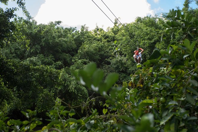 Dual Zipline Side By Side Adventure In Punta Cana Overview And Details