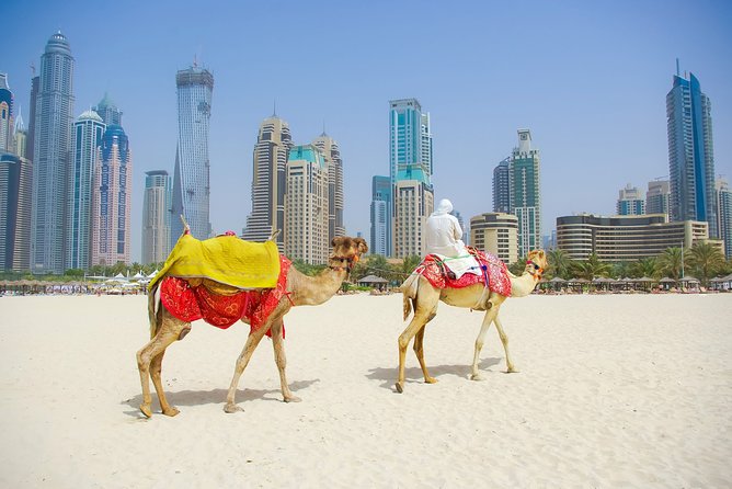 Dubai City Tour With Desert Safari & BBQ Dinner - Sightseeing Stops