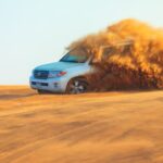 Dubai Evening Desert Safari With Bbq Dinner Tour Highlights