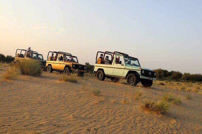 Dubai Evening Heritage Safari By Vintage G Class Al Marmoom Oasis Included Experiences Overview