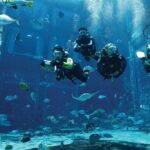 Dubai Lost Chambers Dive Explorer (certification Required) Dive Overview