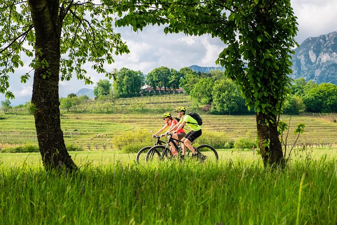 E-bike Vipava River Tour - Tour Overview