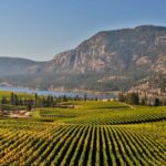 East Kelowna Wine Tour Classic 4 Wineries Taste Locally Produced Wines