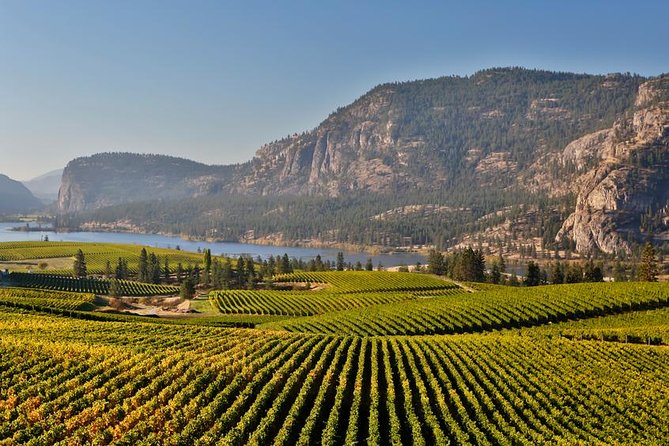 East Kelowna Wine Tour Classic 4 Wineries Taste Locally Produced Wines