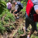 El Yunque Rainforest Guided Hiking With Waterfall Tour Overview Of The Experience