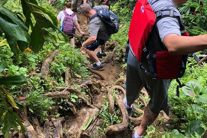 El Yunque Rainforest Guided Hiking With Waterfall Tour - Overview of the Experience