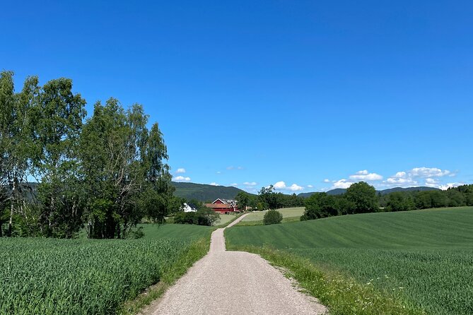 Electric Mountain Bike Tour in the Forest of Oslo - Tour Overview