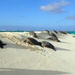 Enchanting Small Group Circle Island Tour Of Oahu Paradise Diamond Head State Monument