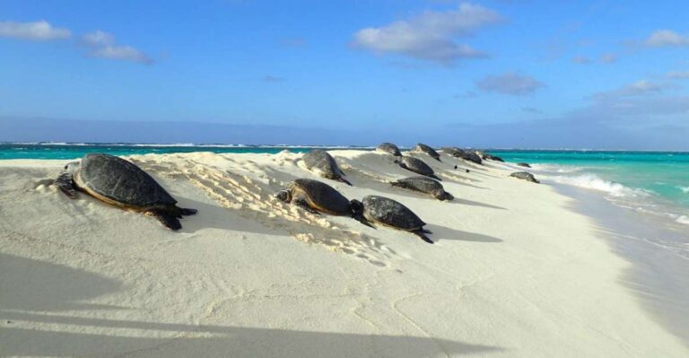 Enchanting Small Group Circle Island Tour Of Oahu Paradise Diamond Head State Monument