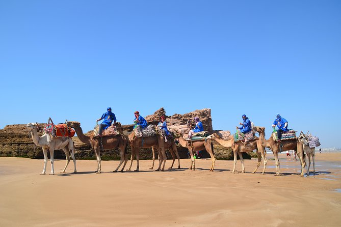 Essaouira: 1/2 Day Camel Ride With Meal. Meeting And Pickup Details