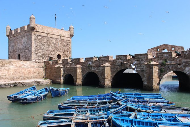 Essaouira Day Trip From Agadir & Taghazout - Highlights of the Itinerary