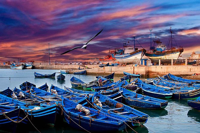 Essaouira Private Full Day Trip From Marrakech - Overview and Details