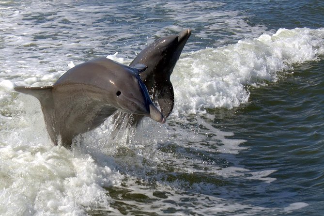 Everglades National Park Biologist Led Adventure: Cruise, Hike + Airboat - Inclusions and Amenities