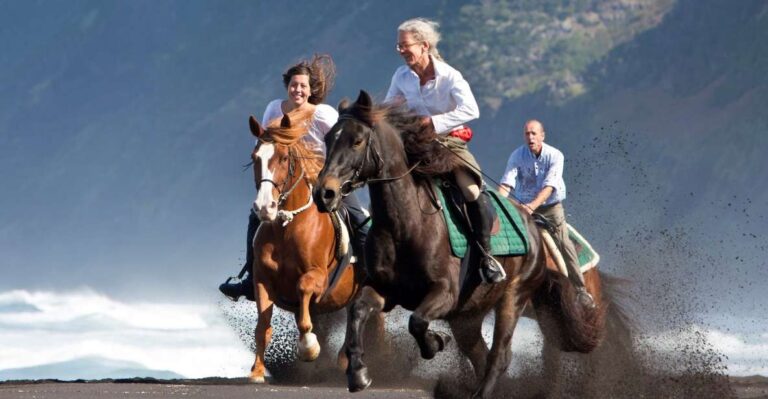 Faial Island: Horseback Riding (3 Hrs Experienced Riders) Activity Details