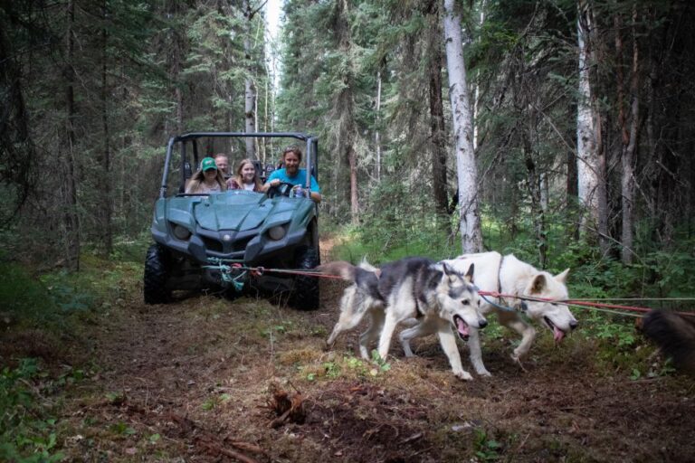 Fairbanks: Summer Mushing Cart Ride And Kennel Tour Activity Overview