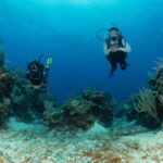 Fajardo 2 Tank Scuba Dive For Certified Divers Only Exclusions And Fees