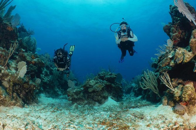 Fajardo 2-Tank Scuba Dive for Certified Divers Only - Exclusions and Fees