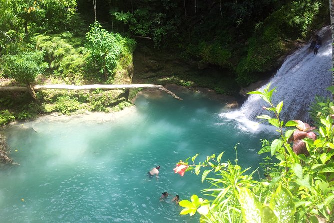 Falmouth Dunns River Falls And Blue Hole Excursion Overview Of The Excursion