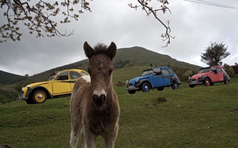 Family Trip To Biarritz In A Citroen 2cv Trip Details