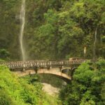 Famous Road To Hana Waterfalls And Lunch By Mercedes Van Tour Overview