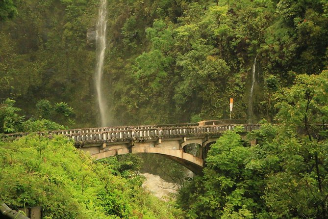 Famous Road to Hana Waterfalls and Lunch by Mercedes Van - Tour Overview