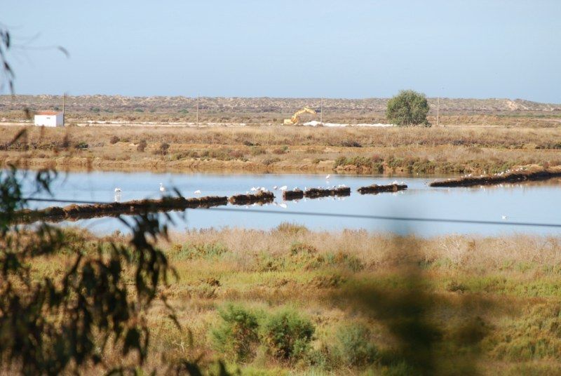 Faro: Ria Formosa Natural Park Segway Tour & Birdwatching - Tour Overview