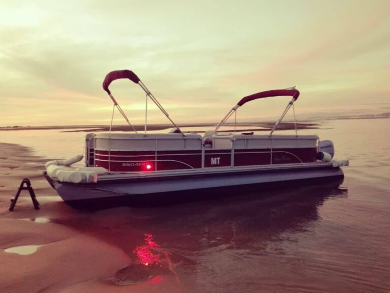 Faro: Ria Formosa Romantic Proposal Sunset Catamaran Tour Tour Overview