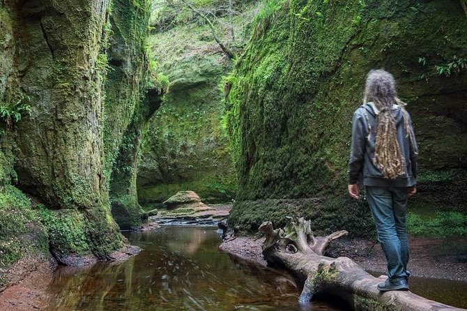 Find A Hidden Glen In Scotlands Woods Discovering The Secluded Forest Trails