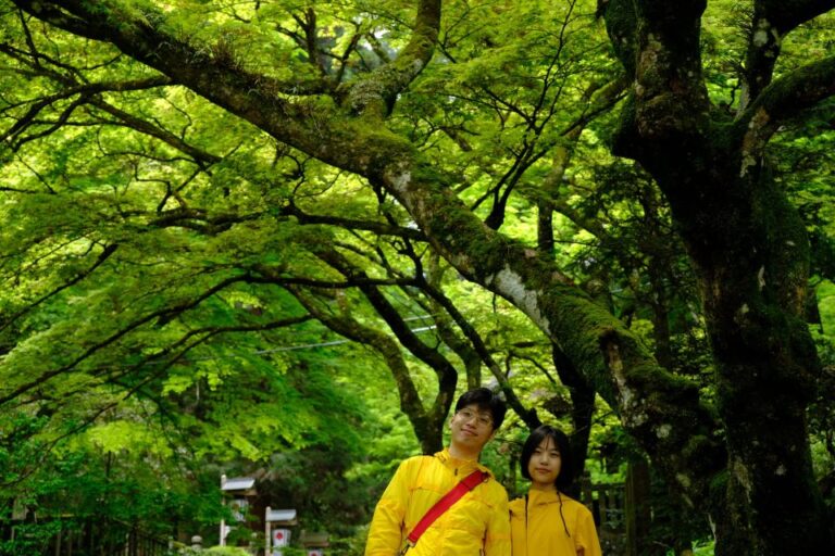 Fm Odawara: Forest Bathing And Onsen With Healing Power Tour Overview And Pricing