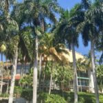 Fort Lauderdale By Land And By Sea Tour Tour Overview