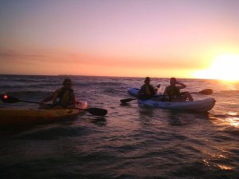 Fort Myers: Guided Sunset Kayaking Tour Through Pelican Bay Tour Overview