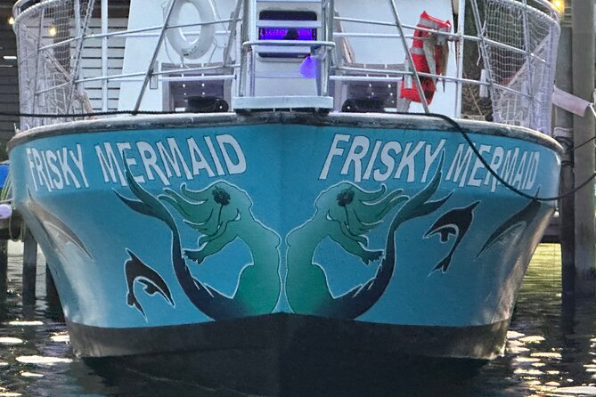 Frisky Mermaid Public Dolphin + Sightseeing Cruise Up To 49 Pax Overview And Experience