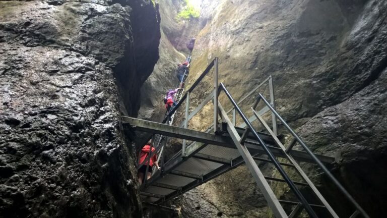 From Brasov: Day Trip To The Seven Ladders Canyon Trip Overview