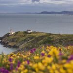 From Dublin: Half Day Guided Coastal Tour To Howth Village Tour Overview