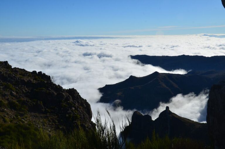 From Funchal: East Tour Madeira 4x4 Jeep Tour Santana Houses Tour Details