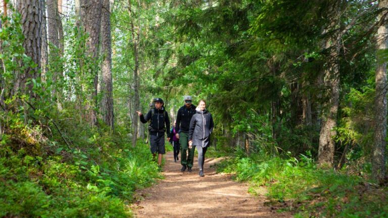 From Helsinki: Berry Picking Day Trip In A National Park Tour Duration And Logistics